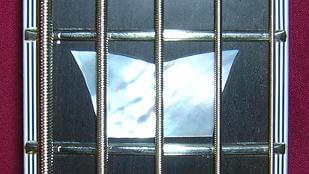 A closeup of the 12th fret inlay.
