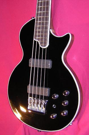 A picture of the bass body.