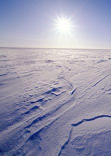 Life on the frozen tundra.