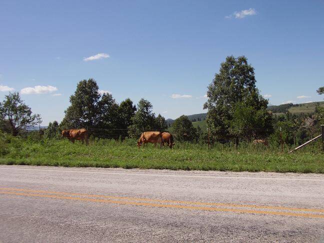 East of Marshall, AR.