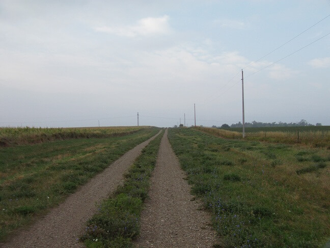 The dirt road driveway that leads off the farm.