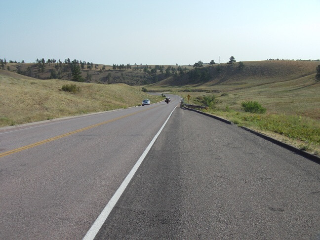 Buffalo often blocked the road.