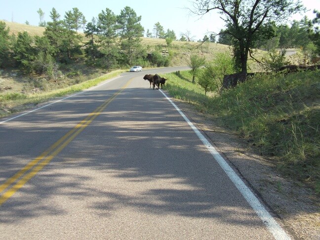 They acted like they own the road, which they do.