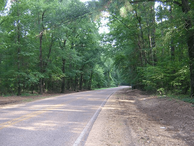 2008 Trip To Arkansas