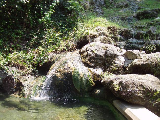 A waterfall being fed by the natural spring.