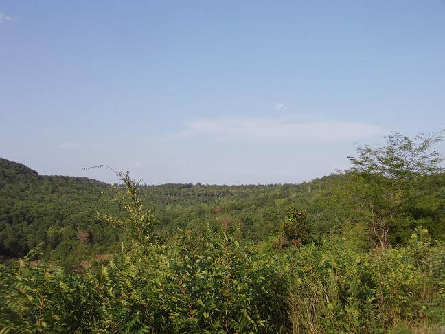 Highway 21 through northwestern Arkansas.