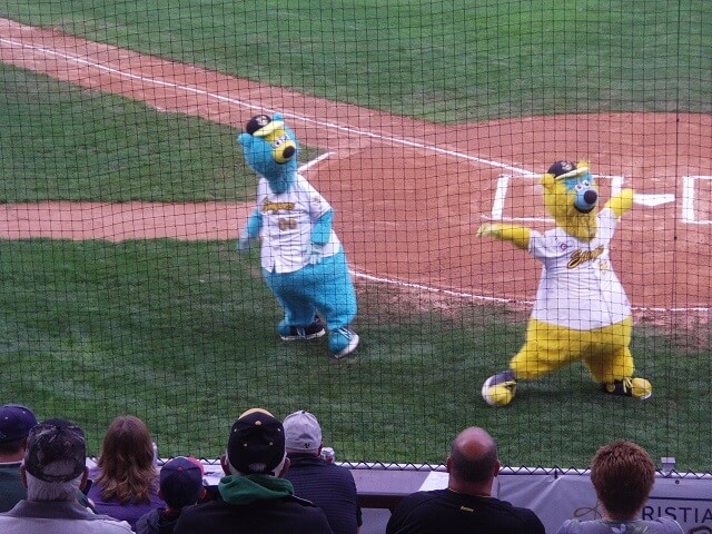 At the Willmar Stingers' baseball game.