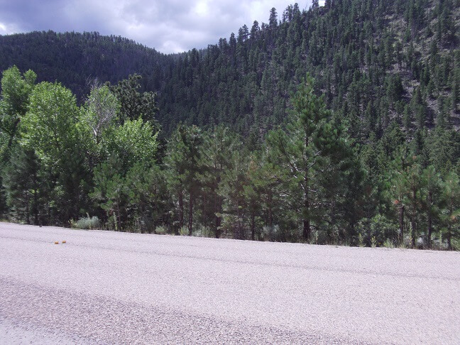 Poudre Canyon Road.