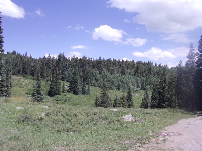 Grand Mesa National Forest