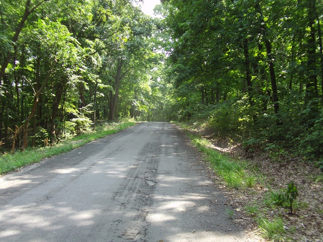 A wooded path back to a supposed scenic overlook