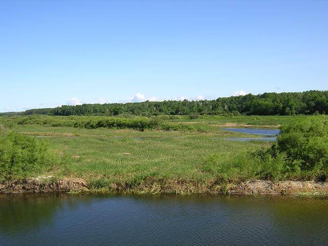 Lots of lakes and forests.