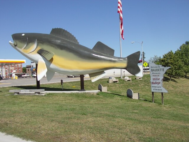 Willie The Walleye in Baudette, MN.