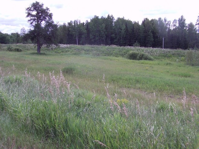 Highway 53 in northern Minnesota.