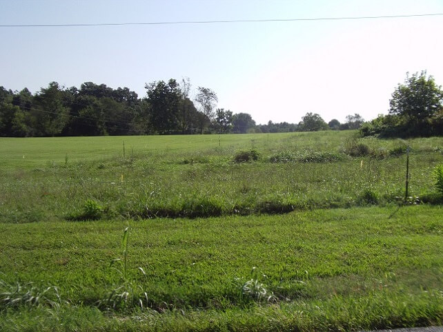 South of Russelsville, TN.