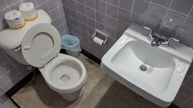 The sink directly in front of the toilet in my hotel room.