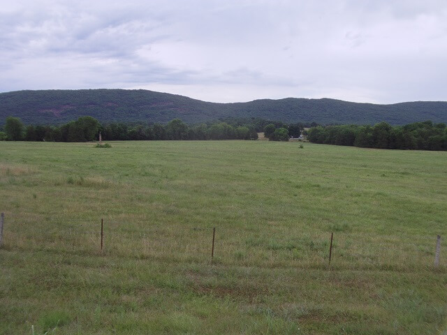 The Buford Mountain Conservation Area in MO.