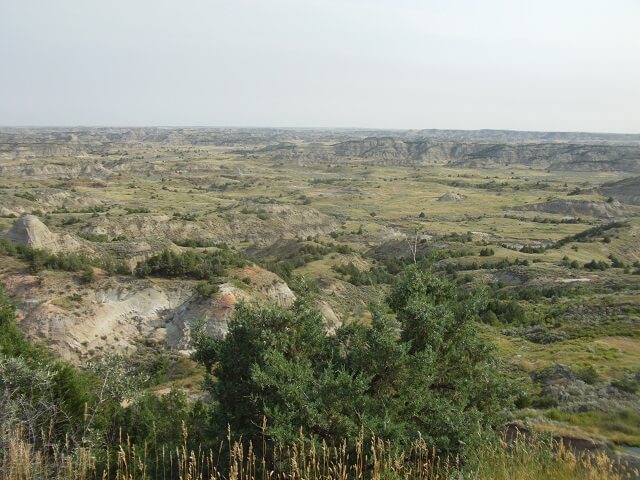 Painted canyon in Teddy Roosevelt National Park.