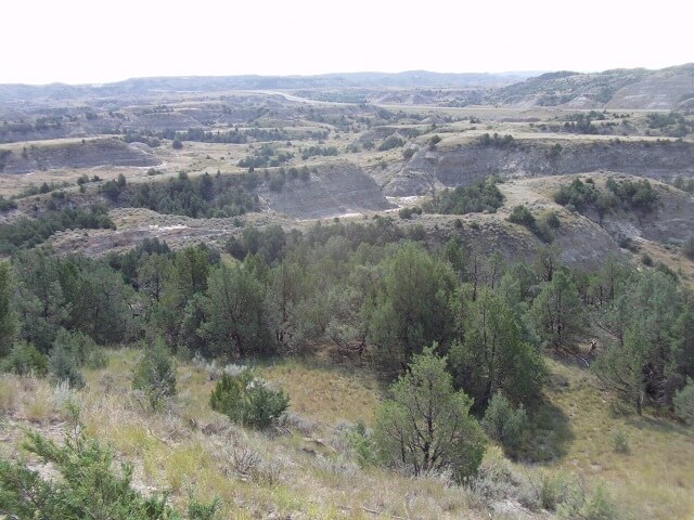 The Ridgeline Trail in Teddy Roosevelt National Park.