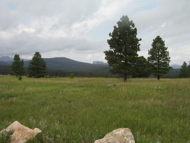 Iron Mountain Road with Mt. Rushmore far in the distance.