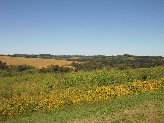 Somewhere lost in the area south of Wonewoc.