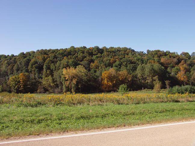 The area around Wildcat Mountain.