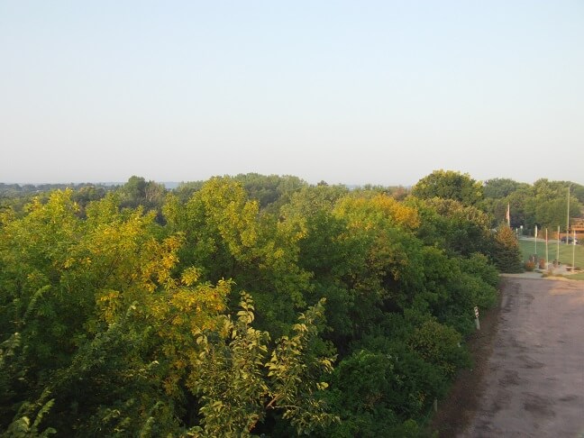 From the lookout tower looking west.