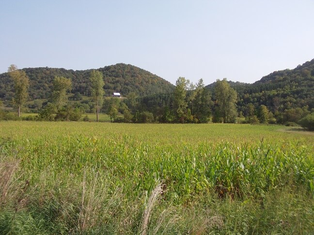 Scenery along county road P.