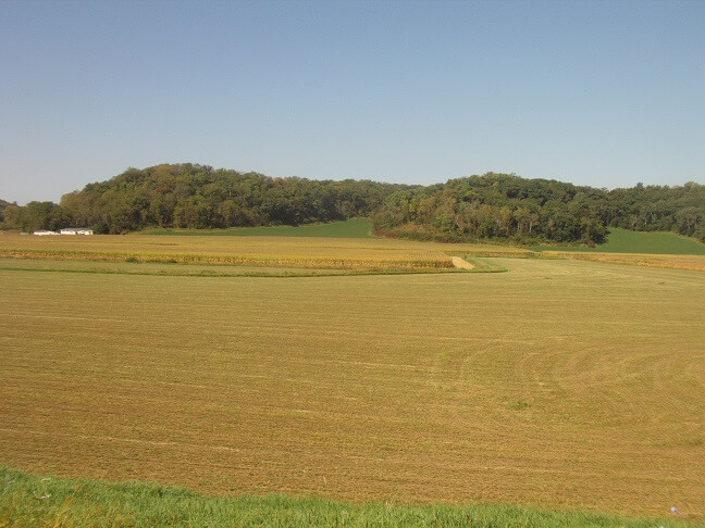 Highway 78 north of Mt. Horeb.