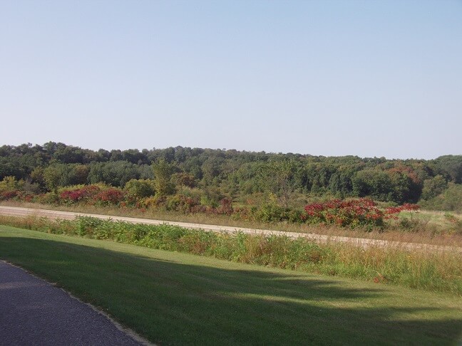 Starting to see fall colors.