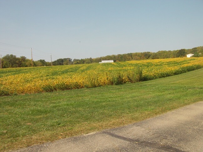 County Road ID outside of Barneveld, WI