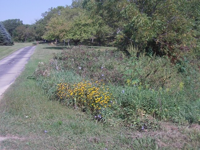 County road JG outside of Mt. Horeb, WI