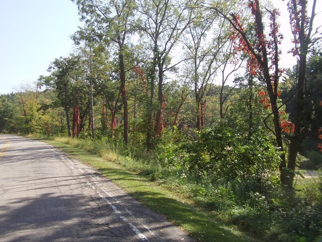 County road JG outside of Mt. Horeb, WI