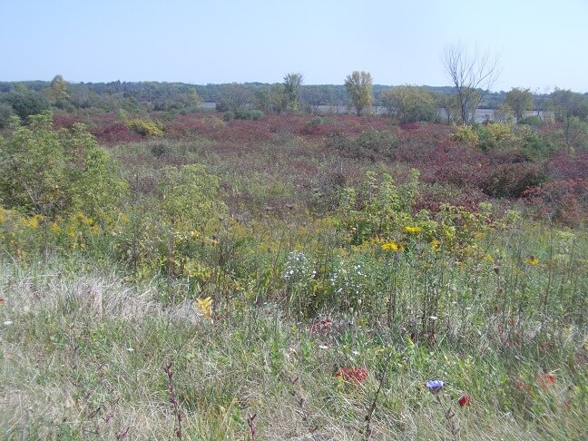 Highway 113 near Merrimac, WI