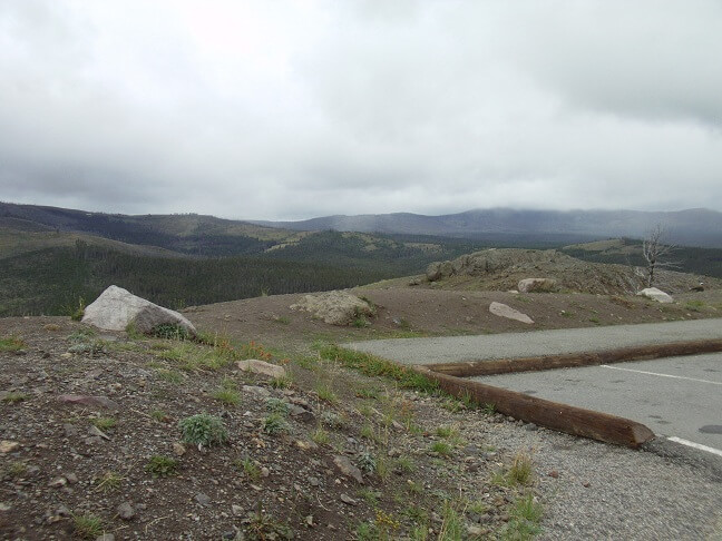 The Yellowstone area up by Tower Junction.