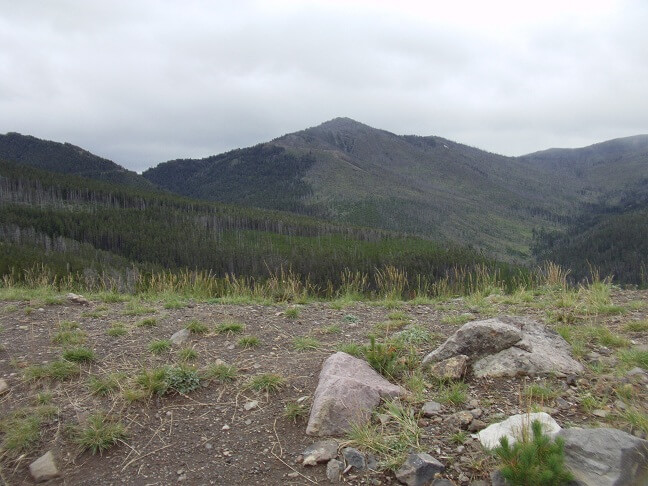 The Yellowstone area up by Tower Junction.