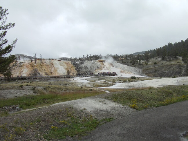 Mammoth Hot Springs.