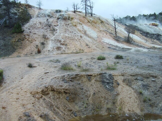 Mammoth Hot Springs.