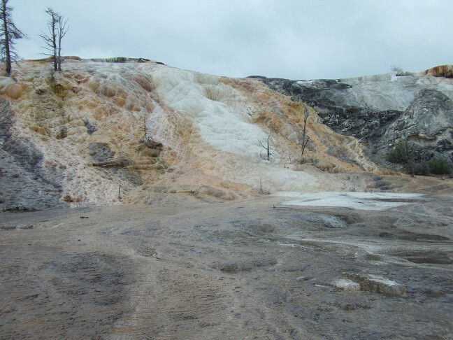 Mammoth Hot Springs.