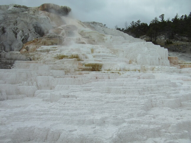 Mammoth Hot Springs.